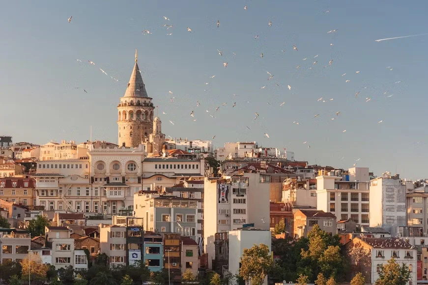 Your Private Driver in Istanbul: Key to a Luxurious Experience and Complete Energy Recharge