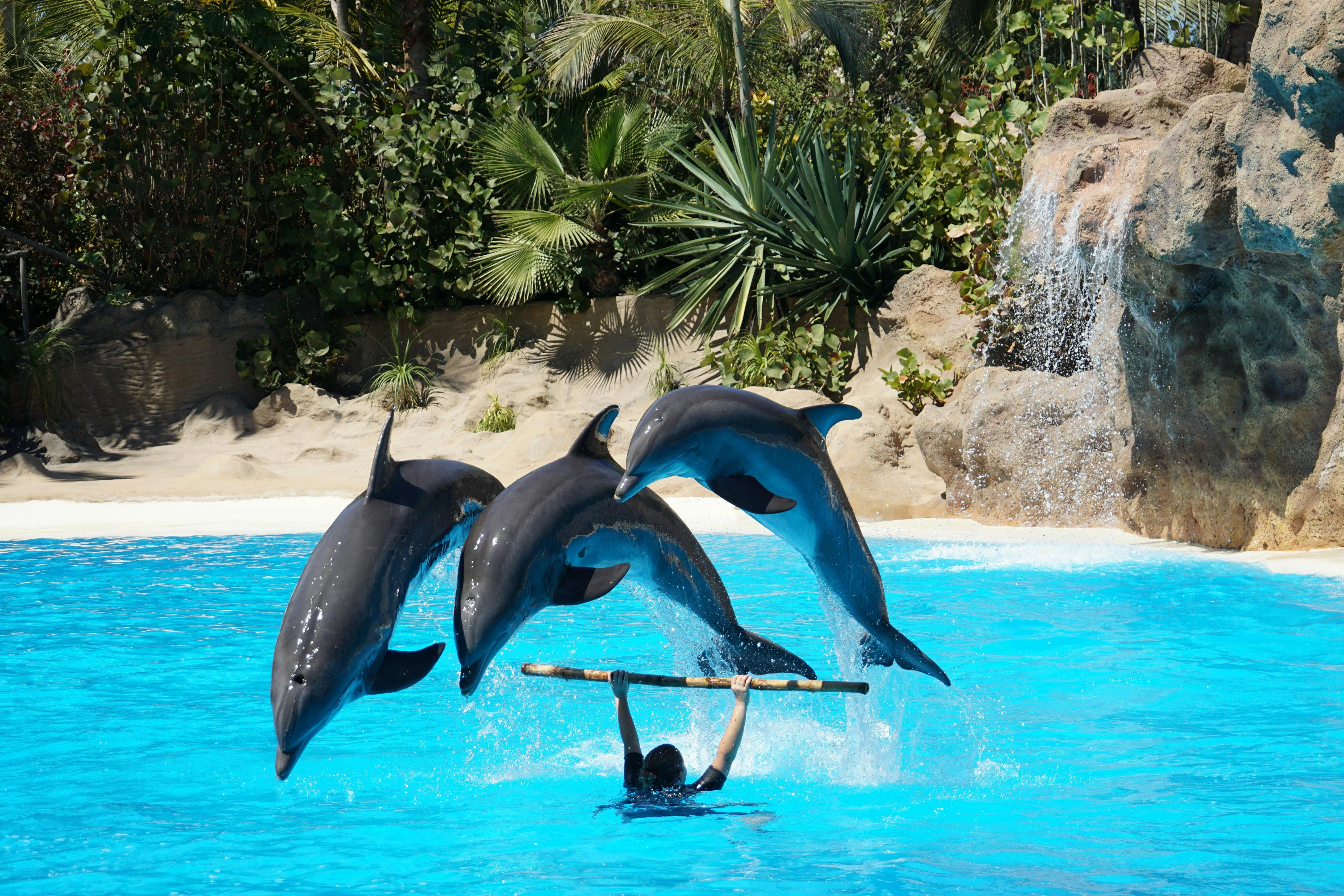 Best All-Inclusive Resorts in Antalya: The Bride of the Mediterranean