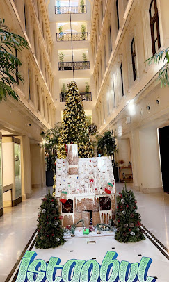 جي دبليو ماريوت إسطنبول البوسفور