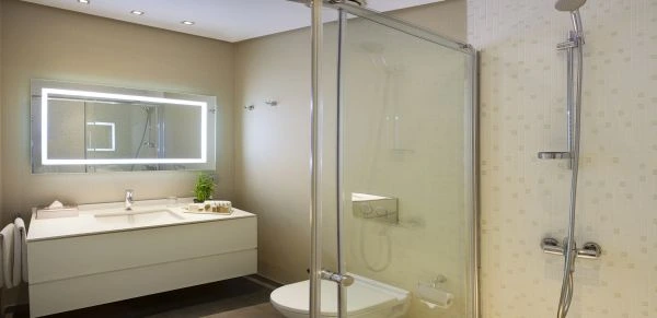 Deluxe One Bedroom Apartment - City View